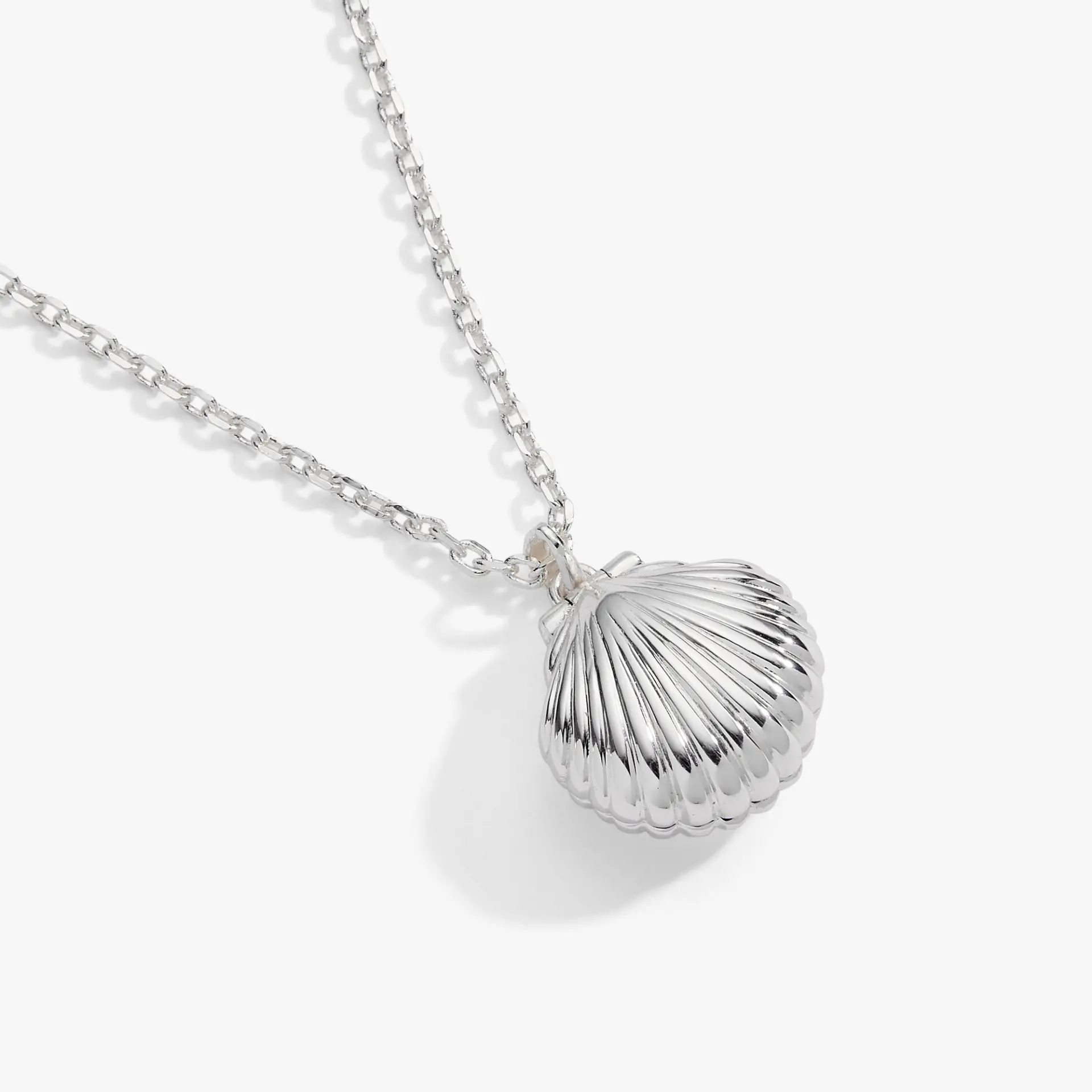 Salt + Sea 'Seashells Are Love Letters In The Sand' Seashell Locket Pendant - Image 6