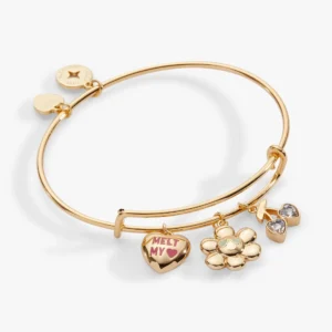 Sweethearts 'Melt My Heart' Multi Charm Bangle