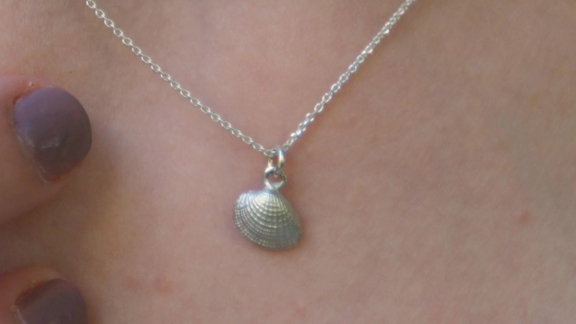 Seashell Pendant Necklace: Natural Silver Shell - Sterling Chain