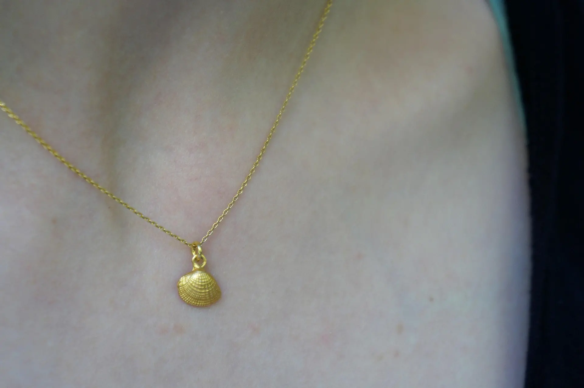 Seashell Pendant Necklace: Natural Silver Shell - Sterling Chain - Image 4